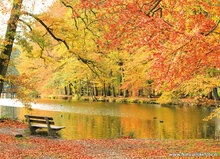 Autumn postcards - set with 11 postcards with Autumn motif (no. 108)