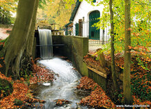 Autumn postcards - set with 11 postcards with Autumn motif (no. 108)