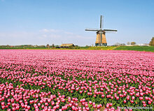Postcard set spring - 11 postcards with spring motif (no. 082)