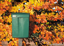 Postcard set Autumn - 11 postcards with Autumn motif (no. 084)