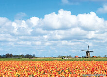 Spring postcards - 15 postcards with spring motif (no. 090) Spring postcards - 15 postcards with spring motif (no. 090)