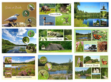 Drenthe postcards - set of 9 postcards (nr. 92)