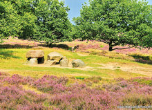 Postcard set - various images - set with 15 postcards (nr. 31)