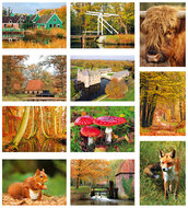 Autumn postcards - set with 11 Autumn motif postcards (no. 34)