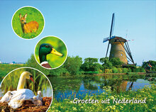 Postcard set 36 - set with 10 postcards (nr. 36)