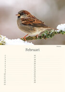 Birthday calendar birds Birthday calendar birds