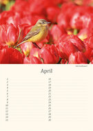 Birthday calendar birds Birthday calendar birds