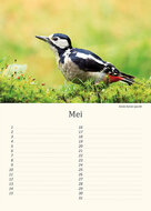 Birthday calendar birds Birthday calendar birds