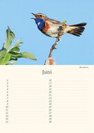 Birthday calendar birds Birthday calendar birds
