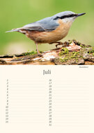 Birthday calendar birds Birthday calendar birds