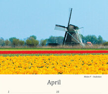 Birthday calendar mills