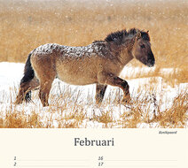 Birthday calendar animals Birthday calendar animals