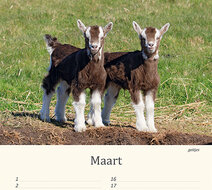 Birthday calendar animals Birthday calendar animals