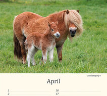 Birthday calendar animals Birthday calendar animals