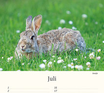 Birthday calendar animals Birthday calendar animals