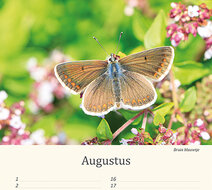 Birthday calendar animals Birthday calendar animals