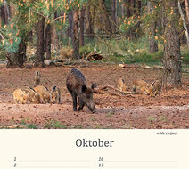 Birthday calendar animals Birthday calendar animals