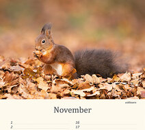 Birthday calendar animals Birthday calendar animals