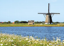 Texel postcards - set with 16 postcards with Texel motif (no. 094)