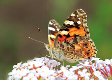 Photography workshop Heerenveen