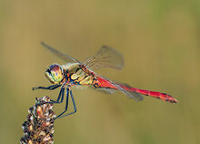 Photography workshop Heerenveen