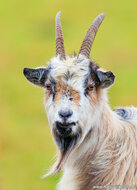 Photography workshop Beetsterzwaag