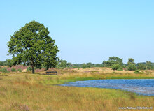 Photography workshop Appelscha