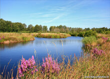 Photography workshop Friesland