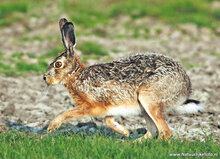 Photography workshop Hoogezand