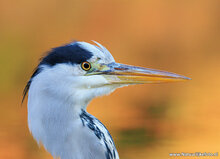 Photography workshop Leeuwarden
