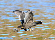 Photography workshop Leeuwarden