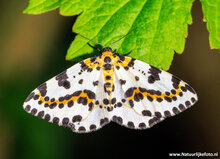 Photography workshop Hoogeveen