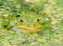 Photography workshop Hoogeveen