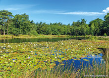 Photography workshop Hoogeveen