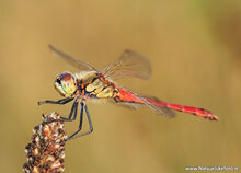 Photography workshop Hoogeveen