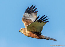 Photography workshop Assen