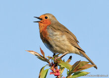 Photography workshop Assen