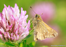 Photography workshop Assen