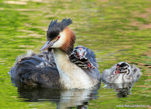 Photography workshop Assen