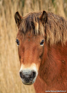 Photography workshop Assen