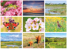 nature postcards