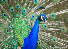 Photography workshop Leeuwarden