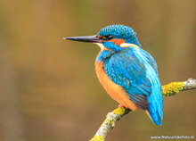 Photography workshop Leeuwarden