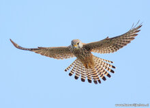 Photography workshop Friesland