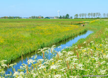 Photography workshop Friesland