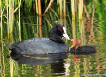 Photography workshop Haren
