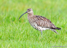 Photography workshop Heerenveen