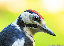 Photography workshop Zuidhorn