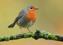 Photography workshop Zuidhorn