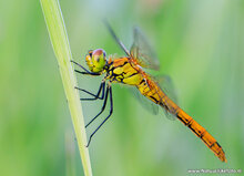 Photography workshop Hoogeveen